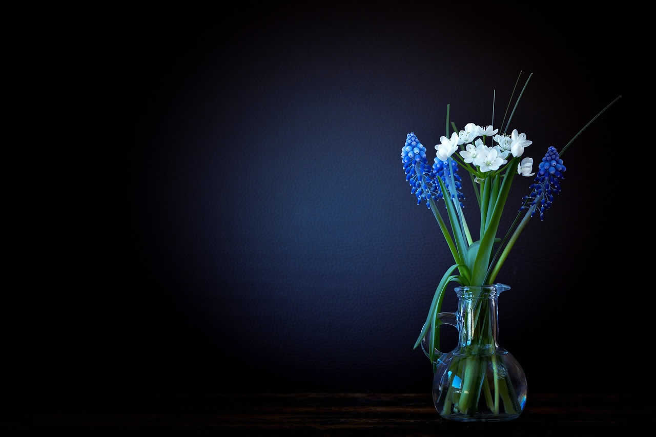 Avviso scadenza loculi cimiteriali